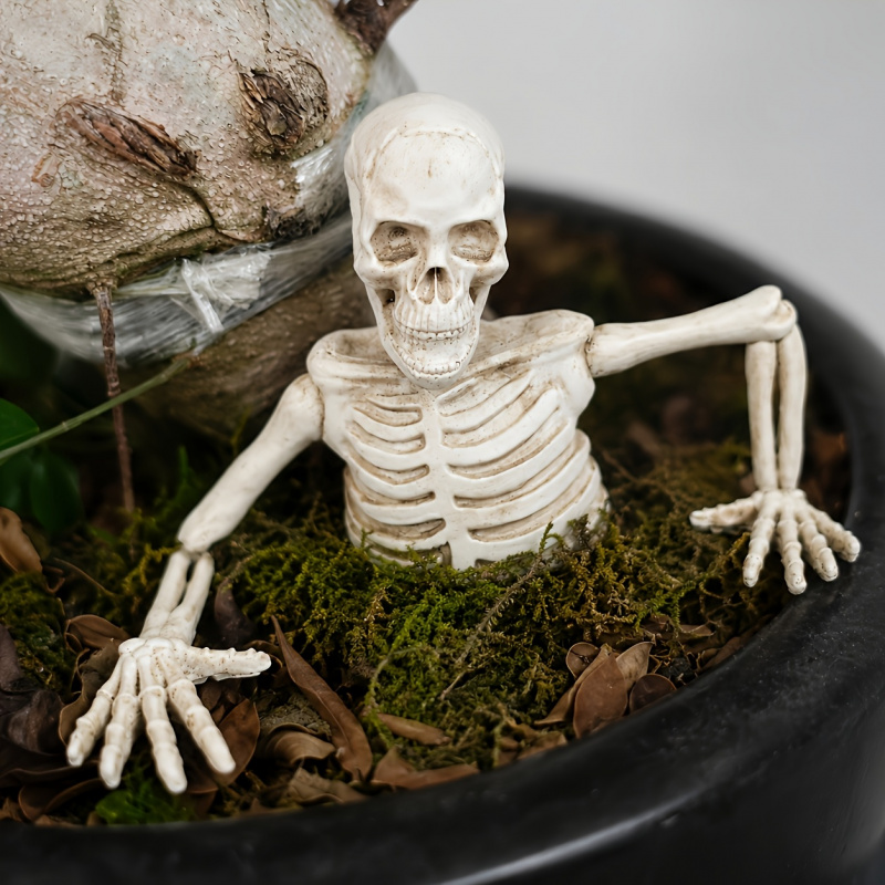 Half-body Climbing Out of the  - Bonsai Garden Landscape Design review and price