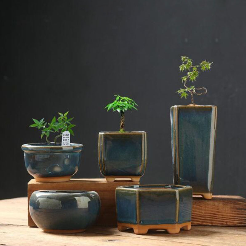 Kiln Transmutation Glazed Eggs - Bonsai Garden Art review and price