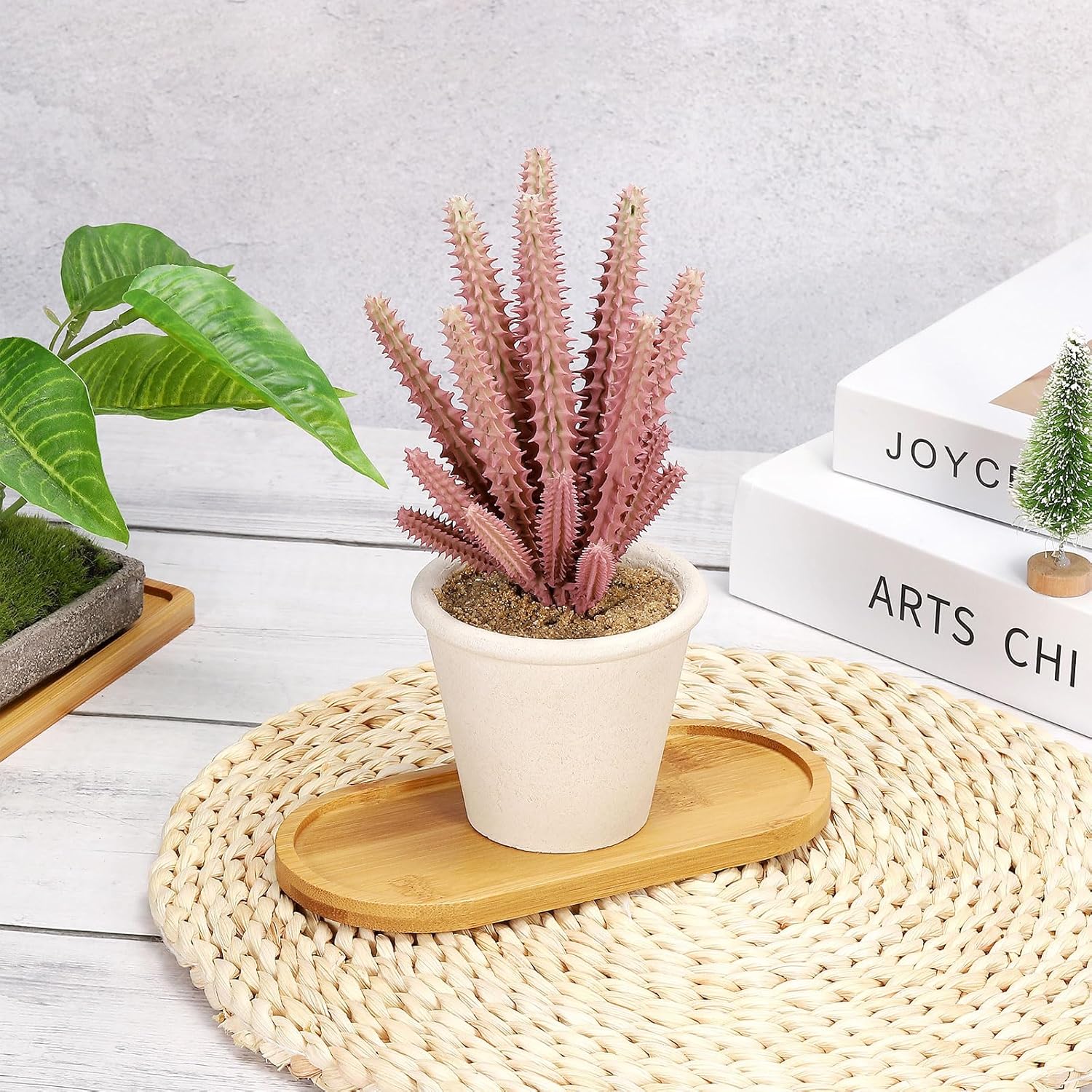 4pcs Bamboo Plant Saucer Oval  - Drip Tray Saucer review and price